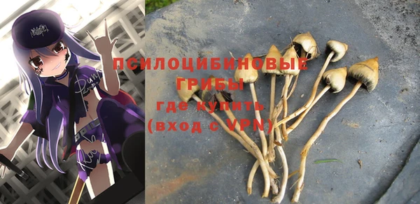 mdma Богданович