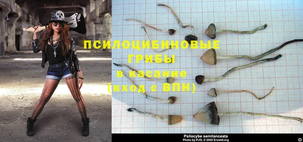 MESCALINE Пестово