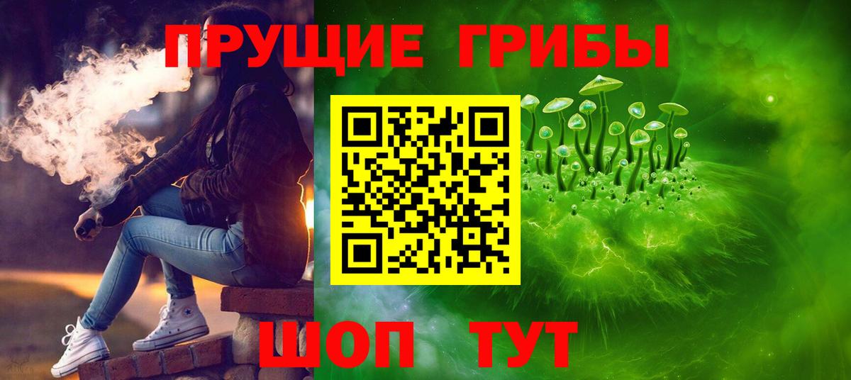 Псилоцибиновые грибы Cubensis  Вход с VPN  Кстово 